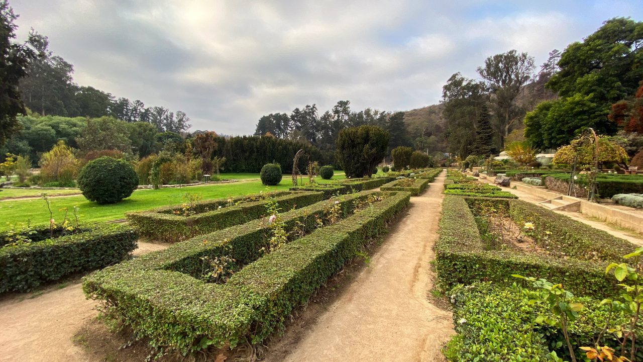 flora y jardín botánico de colonia