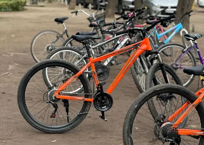 Bicicletas de arriendo de colores estacionadas en fila a la entrada del Jardín