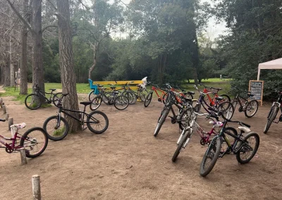 Bicicletas de adulto e infantiles estacionadas en un claro entre árboles
