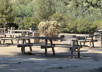 Mesas de madera con bancas en la zona de parrillas, entre árboles y vegetación