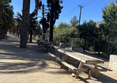 Camino de tierra con mesas y parrillas de ladrillo a la sombra de palmeras