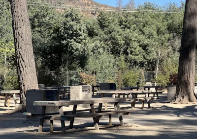 Mesas de picnic junto a parrillas de ladrillo bajo árboles altos
