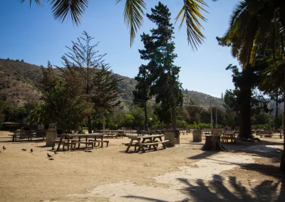 Zona de parrillas con mesas repartidas, palmeras y cerros al fondo