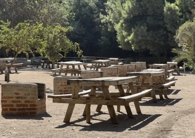 Parrillas de ladrillo junto a mesas de madera en un sector arbolado