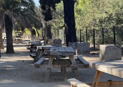 Mesas de madera entre palmeras en la zona de parrillas