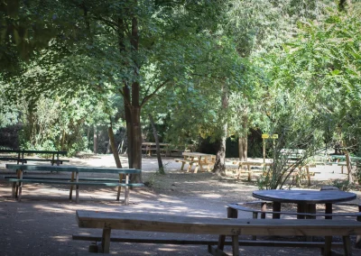Mesas de picnic de madera a la sombra de árboles frondosos