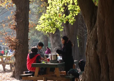 Personas compartiendo en una mesa de picnic bajo grandes árboles en otoño