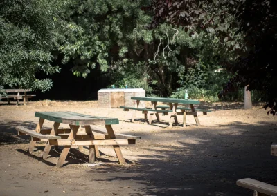 Mesas de picnic con cubierta verde en un claro rodeado de árboles