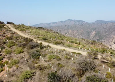 Vista aérea de un camino de tierra que recorre los cerros del Lote C