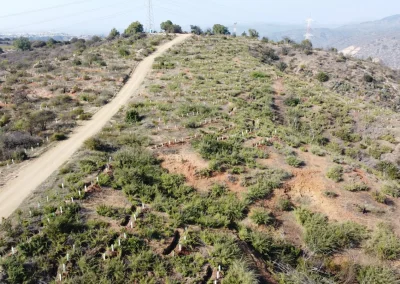 Vista aérea del camino por la cima de un cerro del Lote C, con vegetación en reforestación