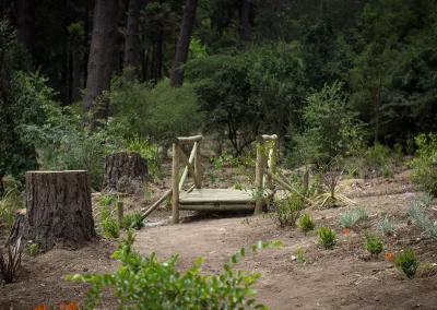 Sendero peatonal de tierra con un pequeño puente de madera en el bosque