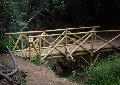 Puente de madera del sendero peatonal sobre una quebrada
