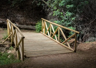 Puente de madera con barandas en el sendero peatonal, rodeado de vegetación